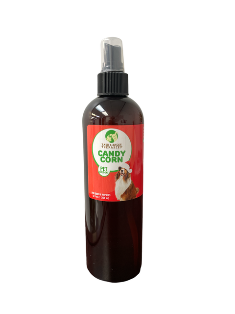 Show Season Candy Corn-12.5oz
