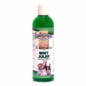 Envirogroom Mint Julep-17oz.
