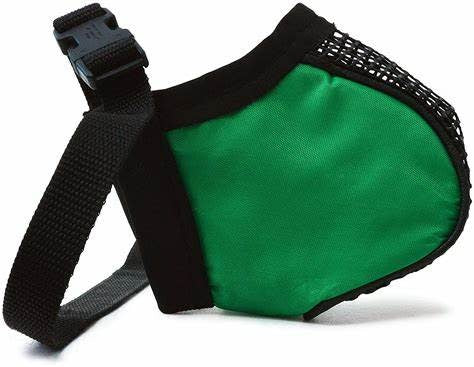 Proguard Pet Softie Muzzle-Green large.