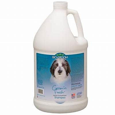 Bio Groom Groom'n Fresh Shampoo-Gallon