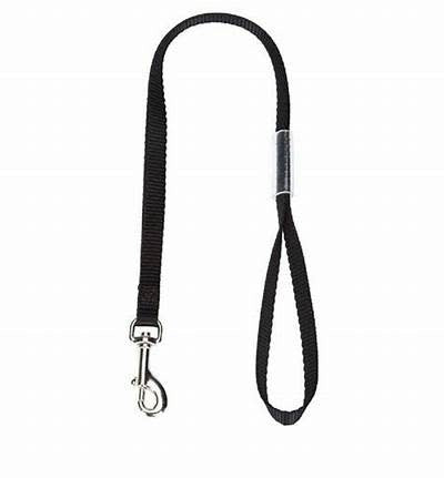 Canis Gear Basic Grooming Loop/Noose-22".