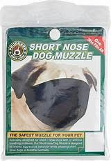 Proguard Pet Short Nose Muzzle