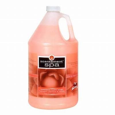 Best Shot Mandarin Jasmin and Honey Shampoo-Gallon