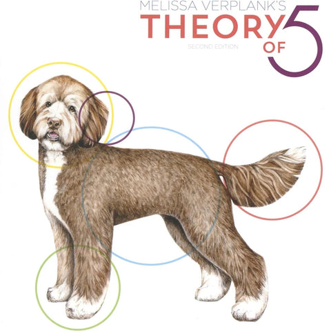 Theory of 5, 2nd Edition